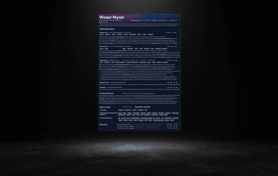 Dark resume preview